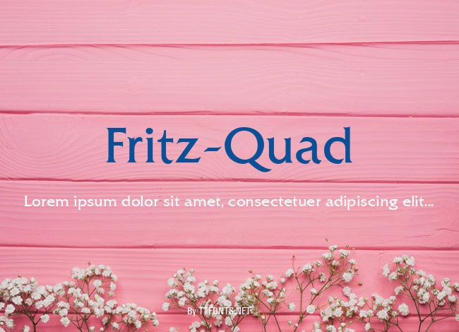 Fritz-Quad example