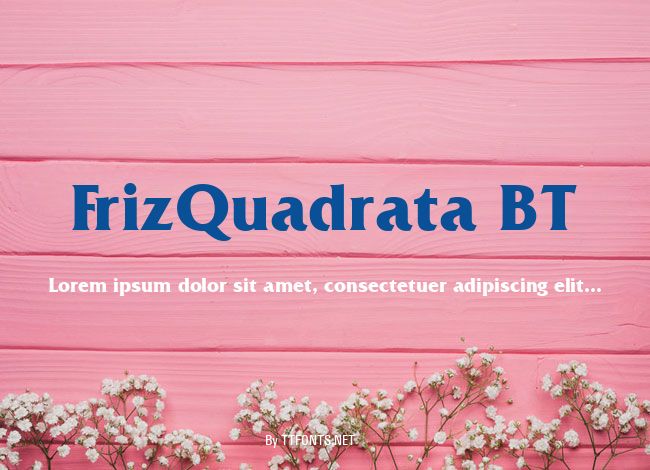 FrizQuadrata BT example