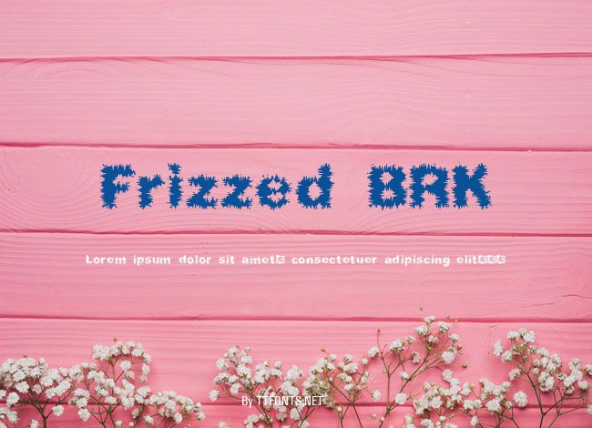 Frizzed BRK example