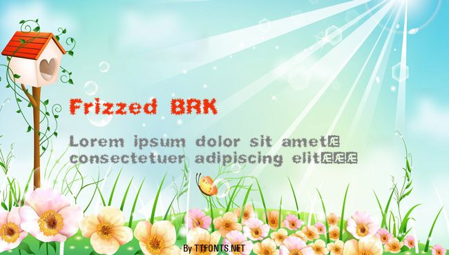 Frizzed BRK example