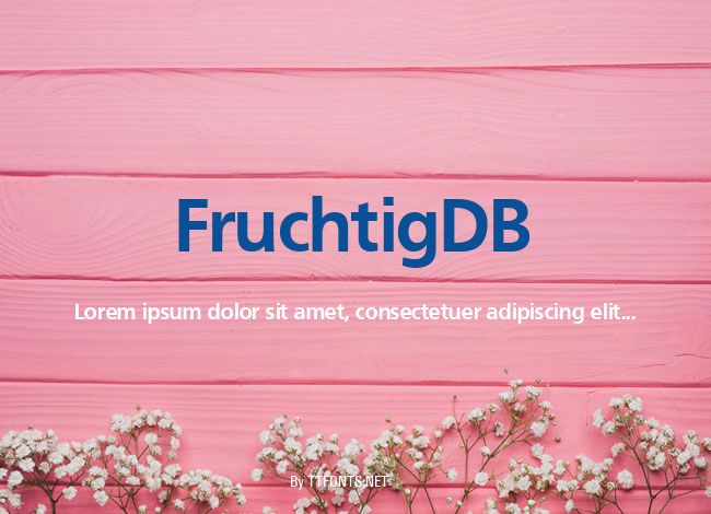 FruchtigDB example