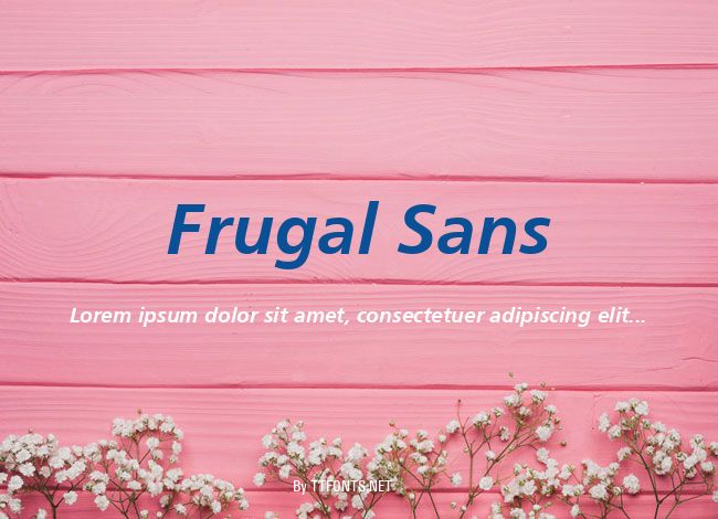 Frugal Sans example