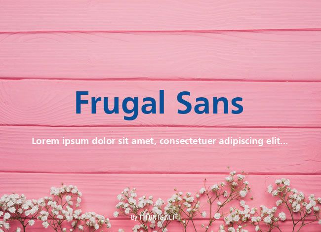 Frugal Sans example