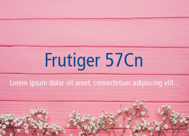 Frutiger 57Cn example