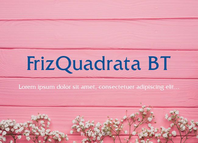 FrizQuadrata BT example
