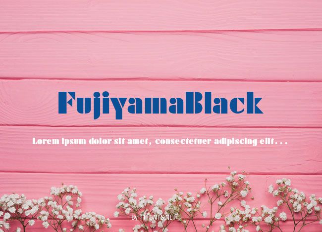 FujiyamaBlack example
