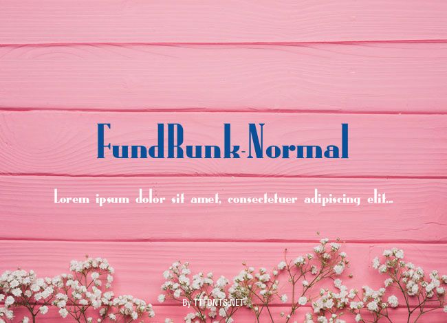 FundRunk-Normal example