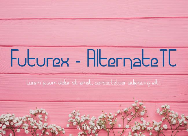 Futurex - AlternateTC example