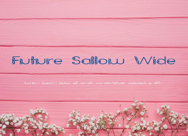 Future Sallow Wide example