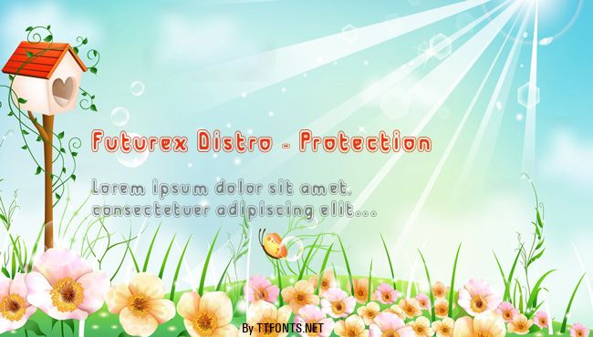 Futurex Distro - Protection example