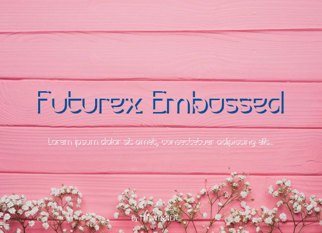 Futurex Embossed example