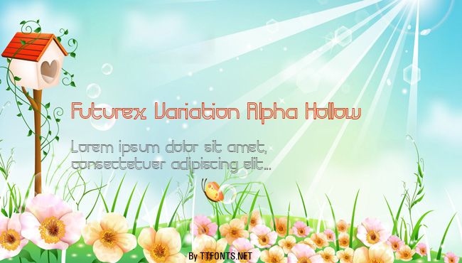 Futurex Variation Alpha Hollow example