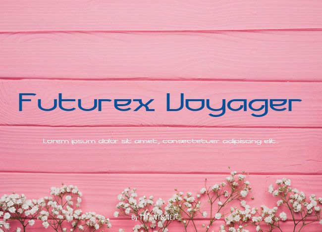 Futurex Voyager example