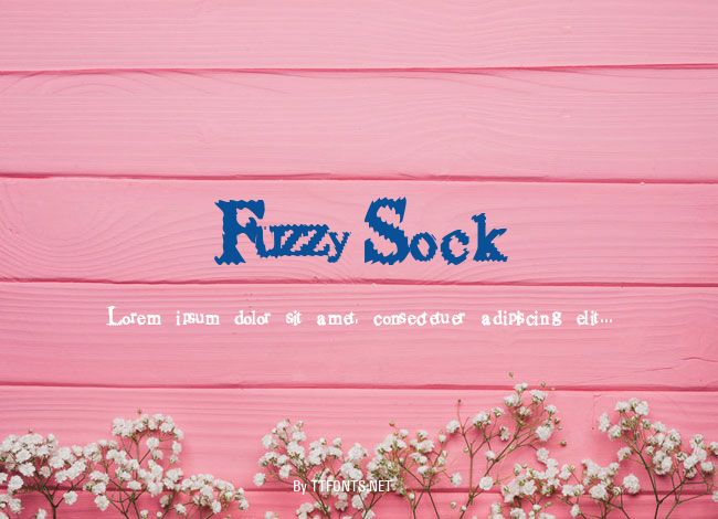 FuzzySock example
