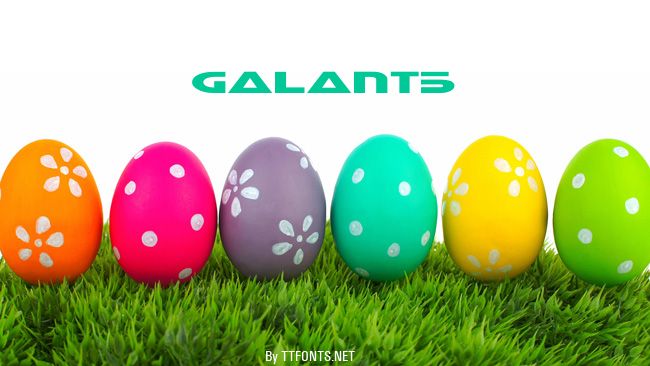 Galant5 example
