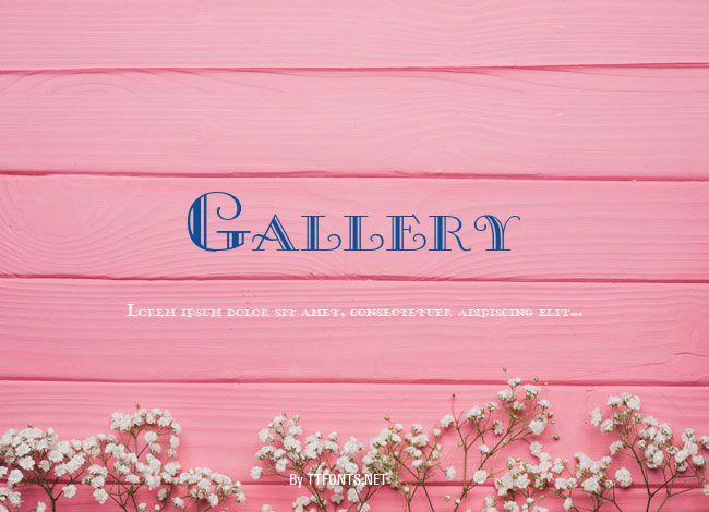 Gallery example