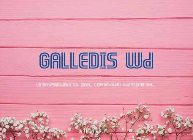 GALLEDIS Wd example
