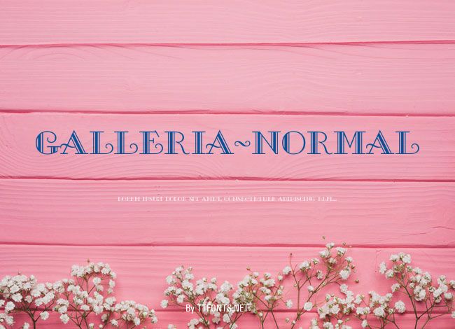 Galleria-Normal example