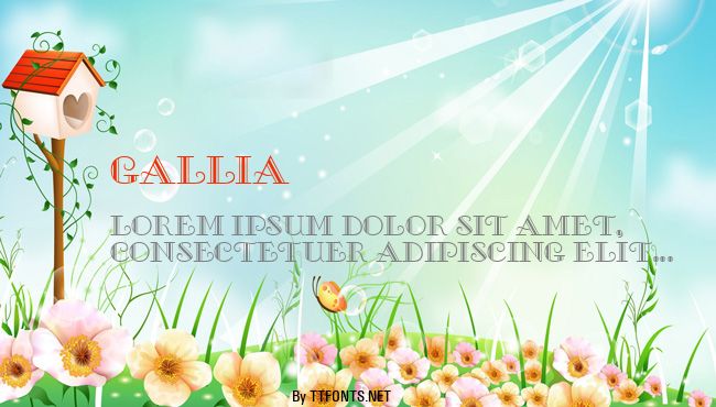 Gallia example