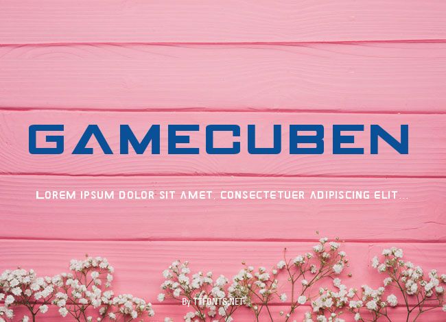 GAMECUBEN example
