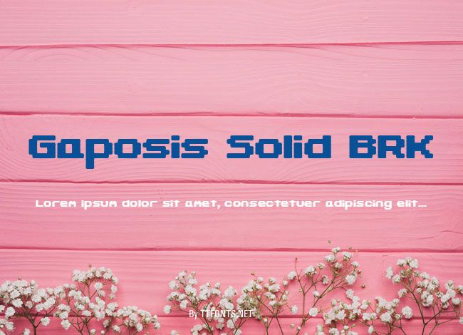 Gaposis Solid BRK example