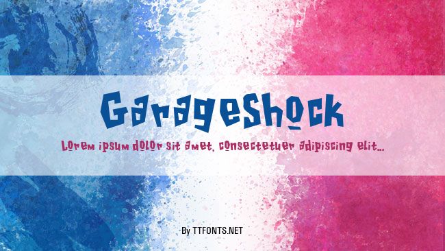 GarageShock example