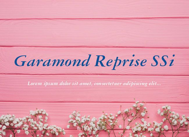 Garamond Reprise SSi example