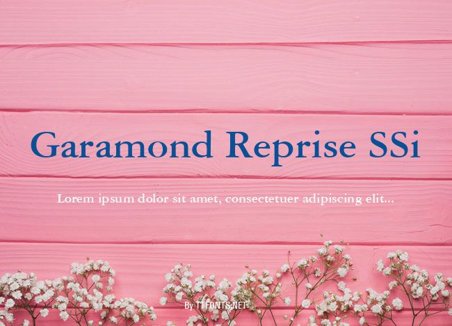 Garamond Reprise SSi example