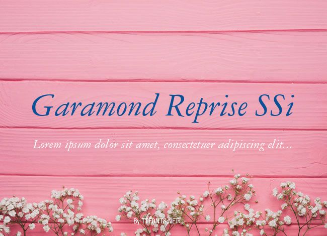 Garamond Reprise SSi example
