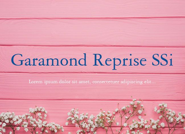 Garamond Reprise SSi example
