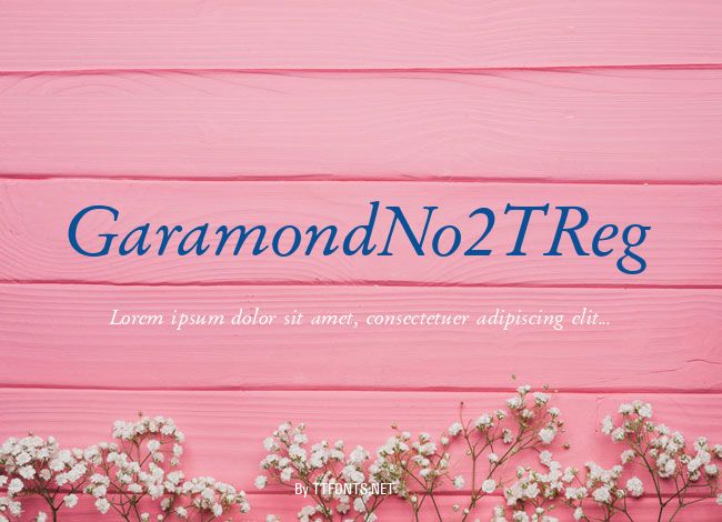 GaramondNo2TReg example