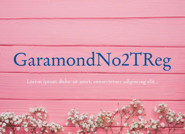 GaramondNo2TReg example