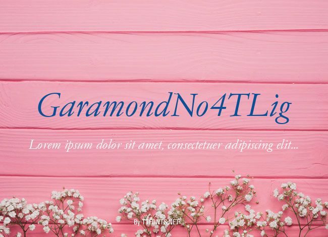 GaramondNo4TLig example