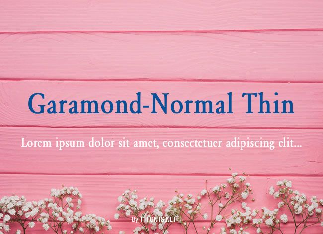 Garamond-Normal Thin example