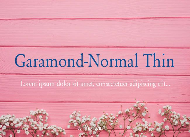 Garamond-Normal Thin example