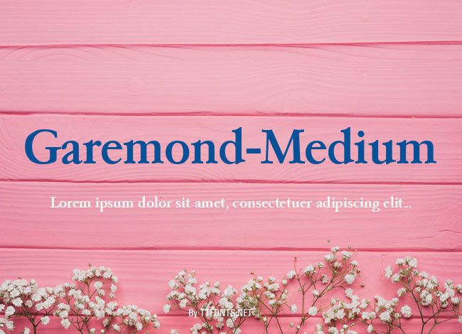 Garemond-Medium example