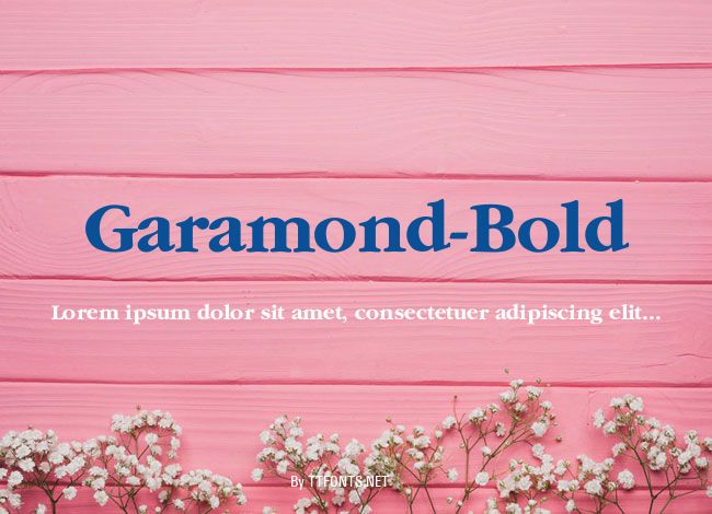 Garamond-Bold example