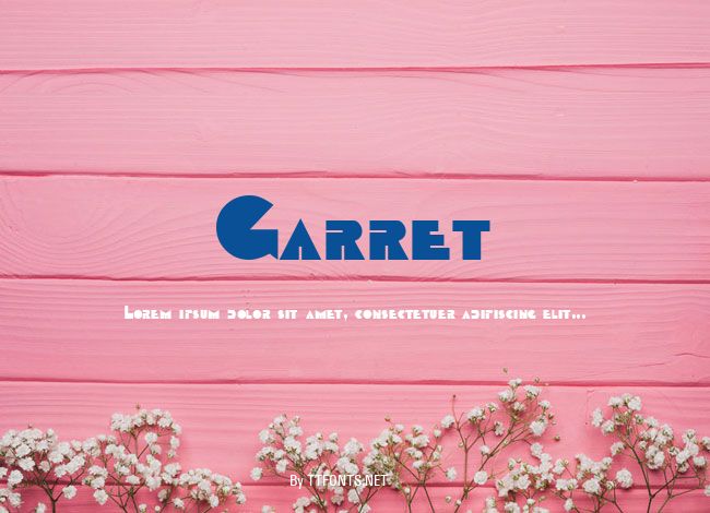 Garret example