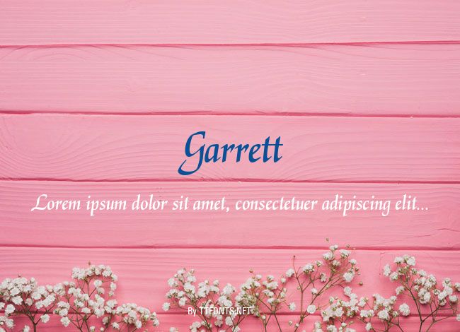 Garrett example