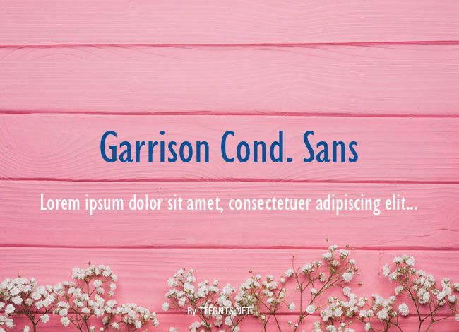 Garrison Cond. Sans example