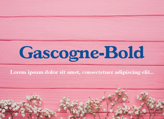 Gascogne-Bold example