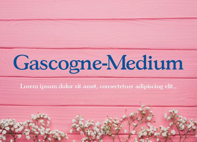 Gascogne-Medium example