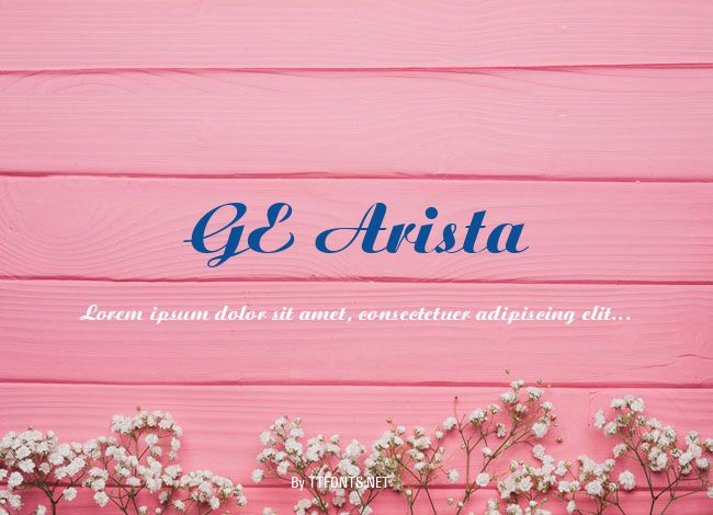 GE Arista example