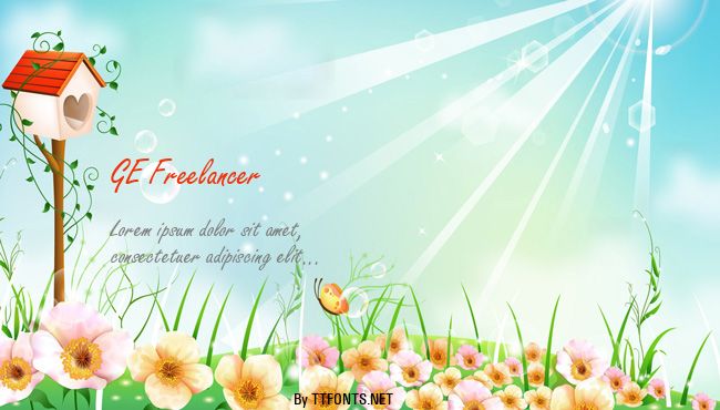 GE Freelancer example