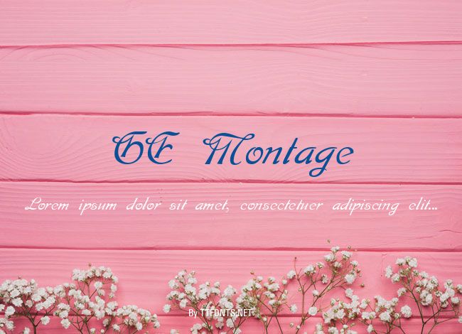 GE Montage example