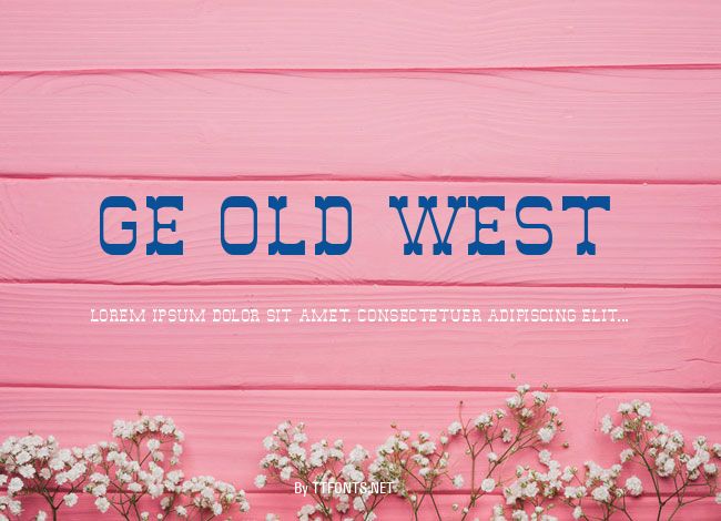 GE Old West example
