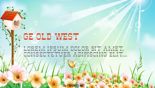GE Old West example