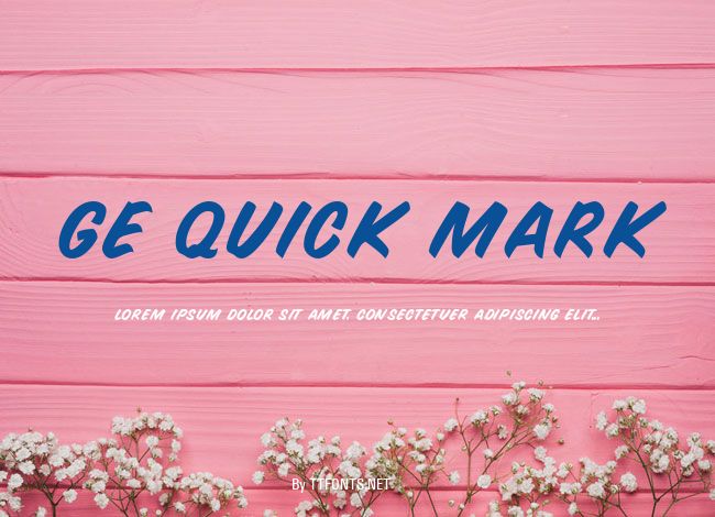 GE Quick Mark example