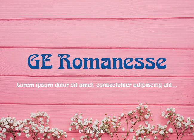 GE Romanesse example