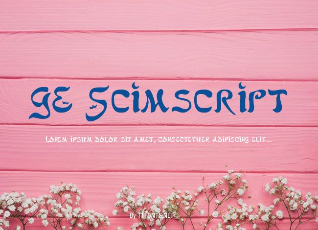 GE Scimscript example